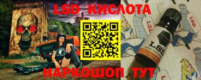 шишки Дубна