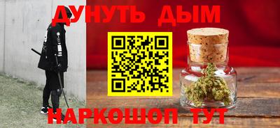 шишки Дубна