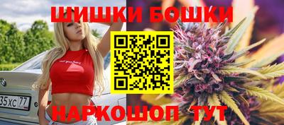 шишки Дубна