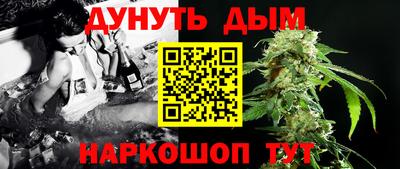 шишки Дубна